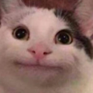 Meet your Posher, Evan